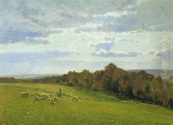 Weidelandschaft Mit Schafen Oil Painting by Hugo Darnaut