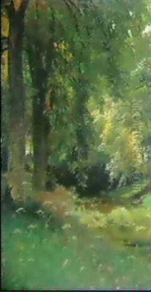 Waldbach Oil Painting by Hugo Darnaut