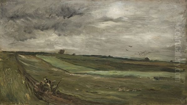 Auvers, Paysage A La Charrue Ou Auvers, Les Bles Oil Painting by Charles Francois Daubigny