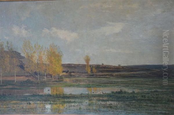 Les Marais D'optevoz Oil Painting by Charles Francois Daubigny