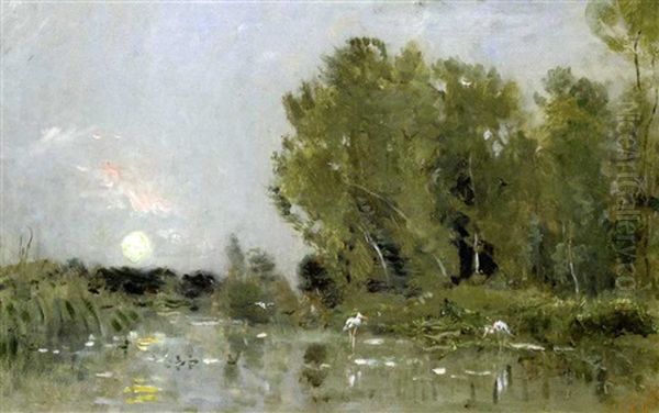 Coucher De Soleil Sur Un Marais. Cigognes Et Canards Oil Painting by Charles Francois Daubigny