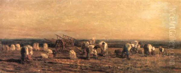 Recolte Des Pommes De Terre Oil Painting by Charles Francois Daubigny