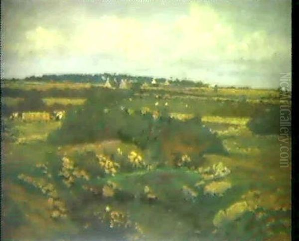 Weidelandschaft In Der Normandie Oil Painting by Charles Francois Daubigny