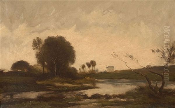 Paysage A L'etang Oil Painting by Karl Pierre Daubigny