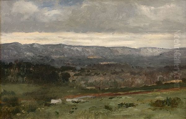 Le Chemin De Terre Sous Un Ciel Nuageux Oil Painting by Karl Pierre Daubigny