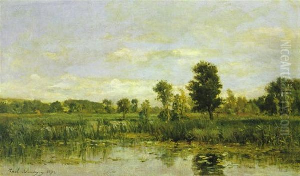 Marsh View Oil Painting by Karl Pierre Daubigny