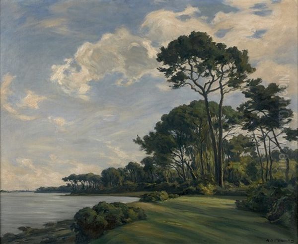 Les Pins En Bord De Mer Oil Painting by Andre Eugene Dauchez