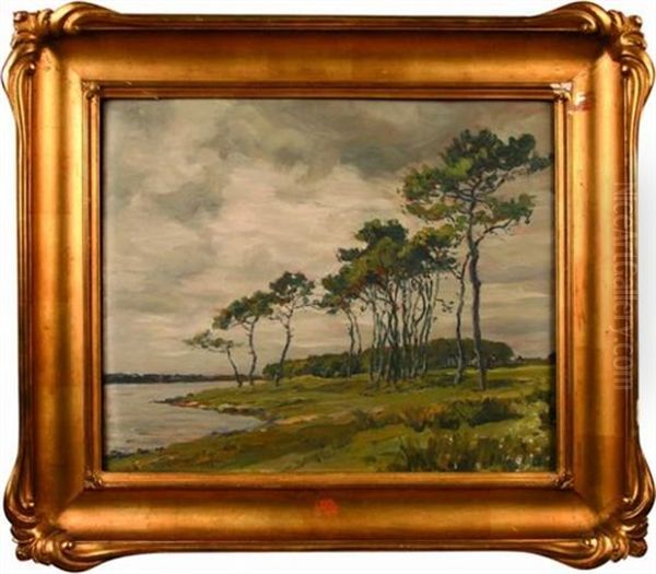 Bord De Mer Arbore Oil Painting by Andre Eugene Dauchez