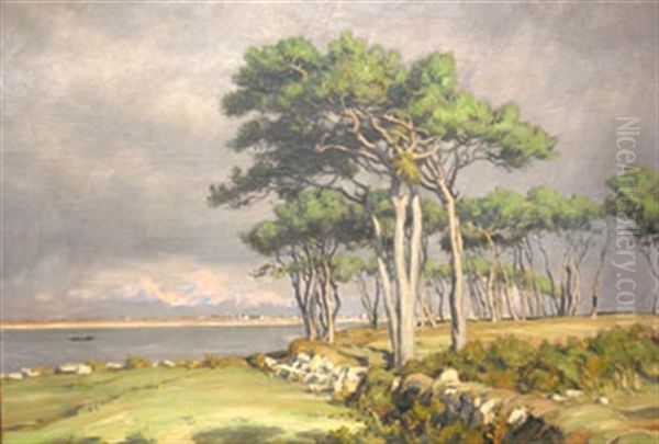 Les Pins En Bord De Mer Oil Painting by Andre Eugene Dauchez