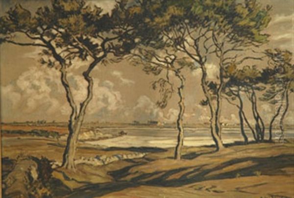 Les Pins En Bord De Mer Oil Painting by Andre Eugene Dauchez