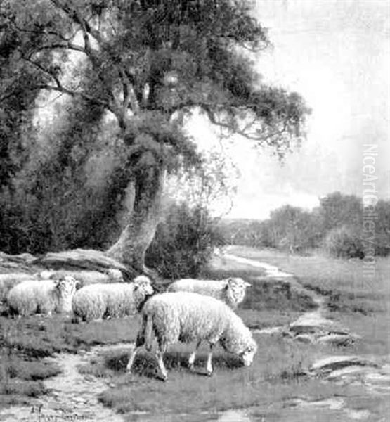 Grazing Sheep, Mid-day Oil Painting by Charles Grant Davidson