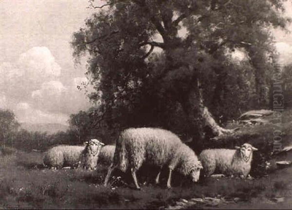 Sheep Resting In A Meadow Oil Painting by Charles Grant Davidson