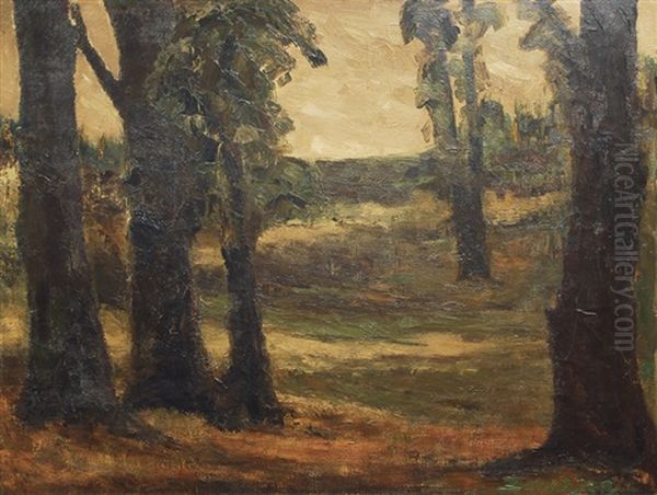 A Forest Clearing Oil Painting by Willy Davidson