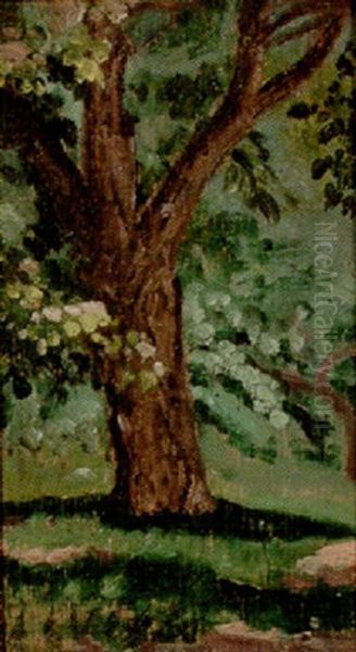 A Tree Oil Painting by Arthur B. Davies