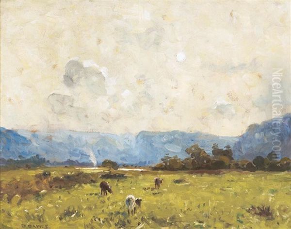 Cows Grazing by David Davies