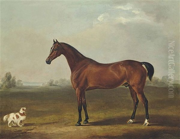 A Bay Hunter And A Spaniel Oil Painting by C.W. Davis