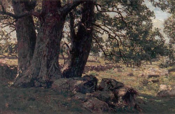 A Spring Landscape Oil Painting by Charles Harold Davis