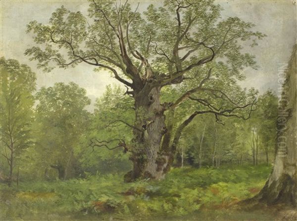 An Old Oak Tree In A Woodland Landscape Oil Painting by Henry William Banks Davis