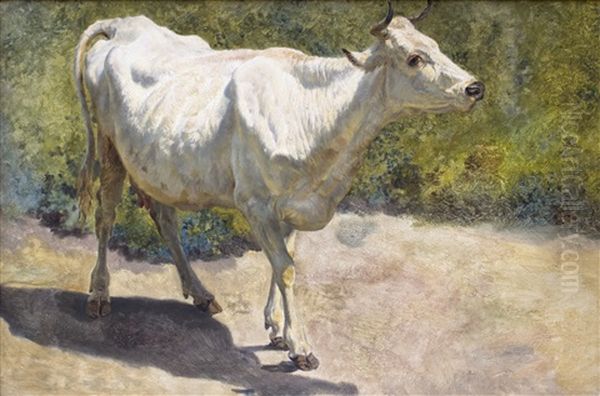 Study Of A White Cow Oil Painting by Henry William Banks Davis