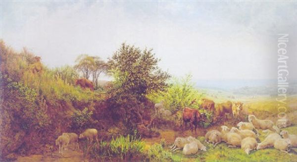 Kuhe Und Schafe In Hugellandschaft Oil Painting by Henry William Banks Davis