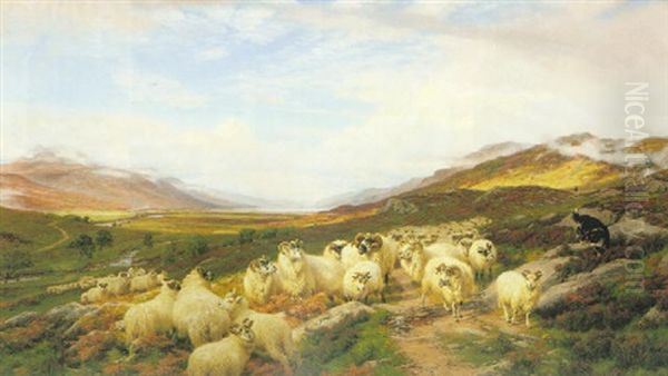 Gathering The Flock, Loch Maree Oil Painting by Henry William Banks Davis