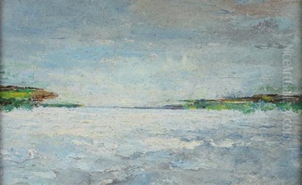 Expanse Of Water Oil Painting by Leonard M. Davis