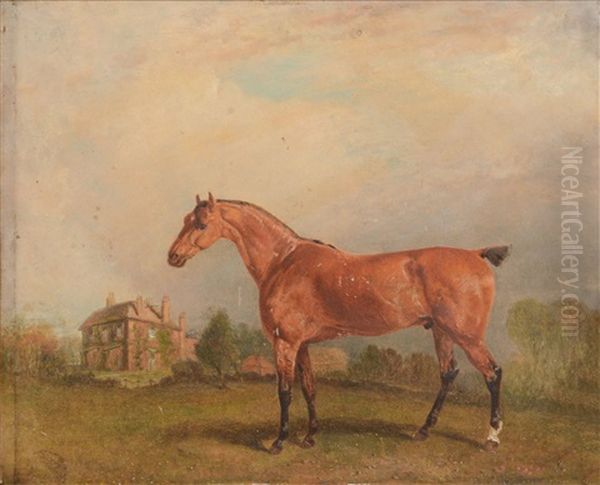 Horse In A Landscape by Richard Barrett Davis