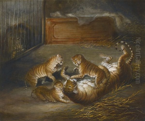 Three Liger Cubs Bred Between A Lion And A Tigress At The Royal Menagerie, Sandpit Gate, Windsor Great Park, October 1824 Oil Painting by Richard Barrett Davis