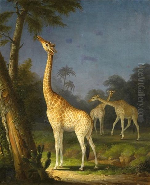 Drei Giraffen Oil Painting by Richard Barrett Davis