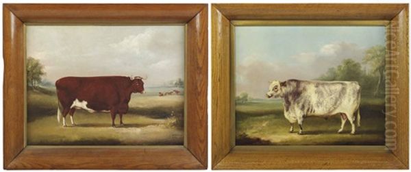 A Prize Bull In A Landcape; And A Prize Cow In A Landscape Oil Painting by William Henry Davis