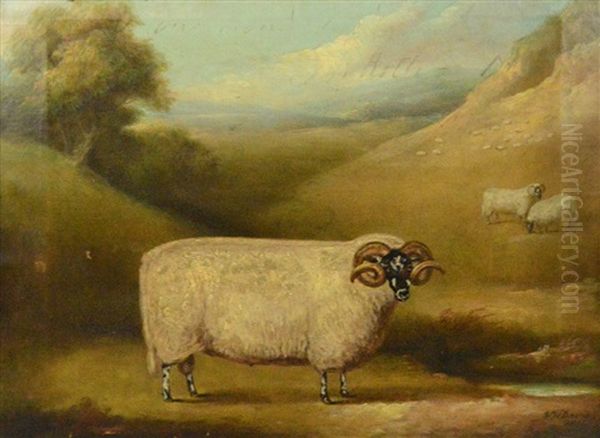 Naive Study Of A Curly Horned Ram In Landscape With Further Sheep Beyond Oil Painting by William Henry Davis