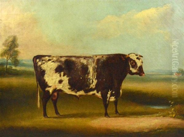 Naive Study Of A Bull In Landscape Oil Painting by William Henry Davis