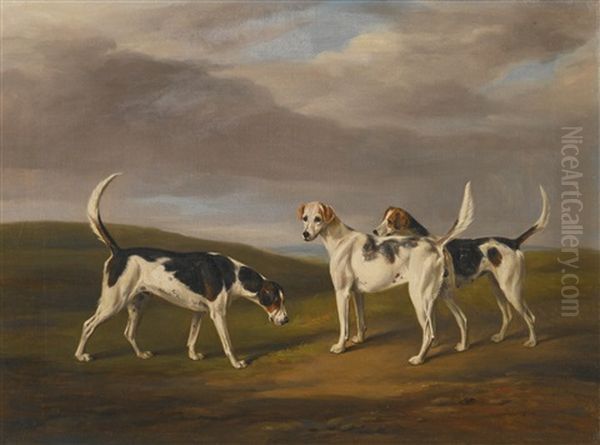 Blue Cap, Selim And Brides Maid, Three Hounds In A Landscape Oil Painting by William Henry Davis