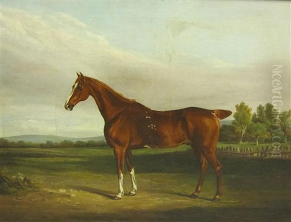 A Chestnut Hunter In A Landscape Oil Painting by William Henry Davis