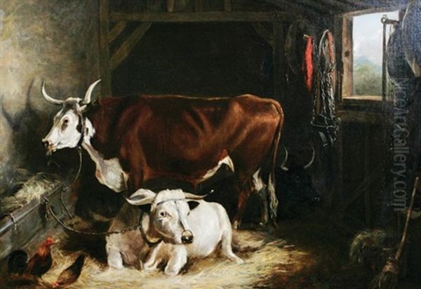 Cattle In An Interior Oil Painting by William Henry Davis