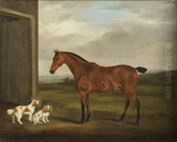 Horse With King Charles Spaniels (study) Oil Painting by William Henry Davis