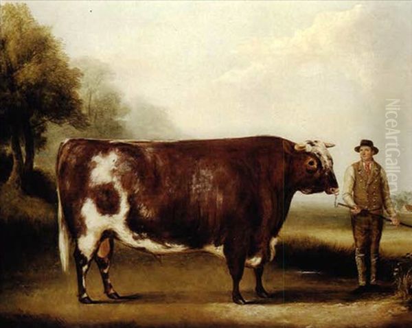 A Dark Roan Bull Oil Painting by William Henry Davis