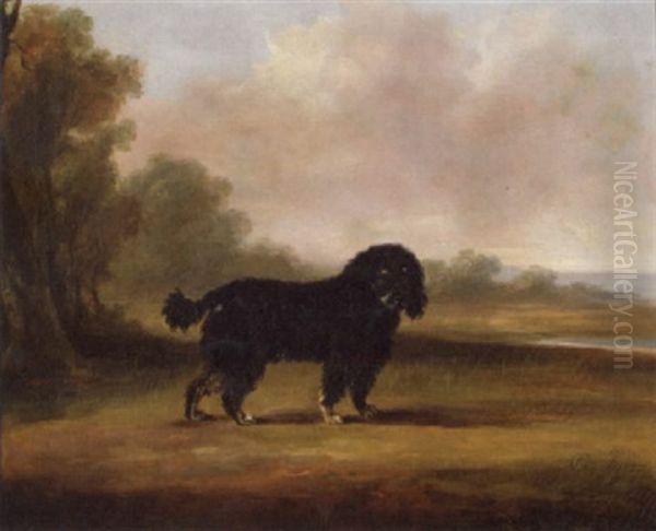 A Water Spaniel In An Open Landscape By A Pond Oil Painting by William Henry Davis