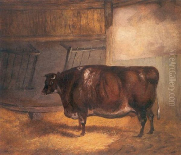 Study Of A Cow In A Stable Oil Painting by William Henry Davis