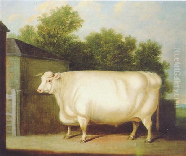 A Prize White Bull In A Farmyard Oil Painting by William Henry Davis