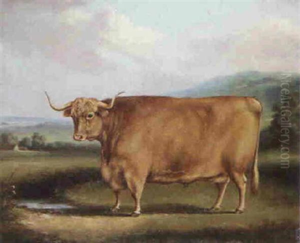 A Longhorn Bull In A Landscape Oil Painting by William Henry Davis