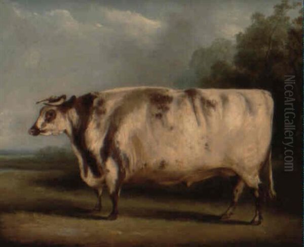 A Shorthorn Ox In A Landscape Oil Painting by William Henry Davis