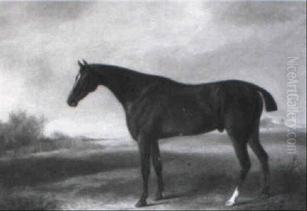 Wheatear, A Dark Bay Hunter In A Landscape Oil Painting by William Henry Davis