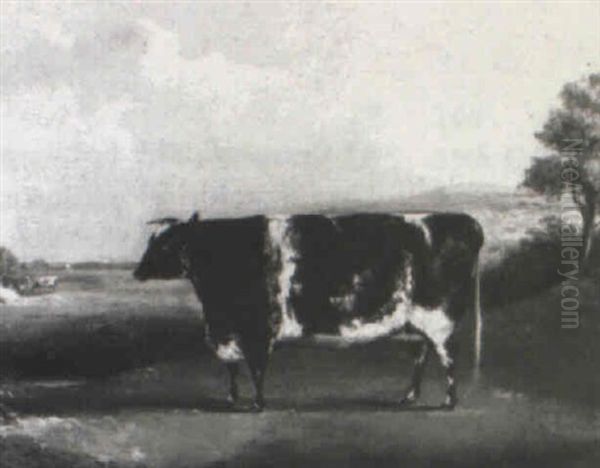 Prize Cow In A Landscape Oil Painting by William Henry Davis