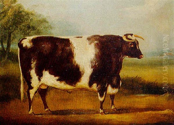 A Brown And White Prize Bull In A Landscape Oil Painting by William Henry Davis