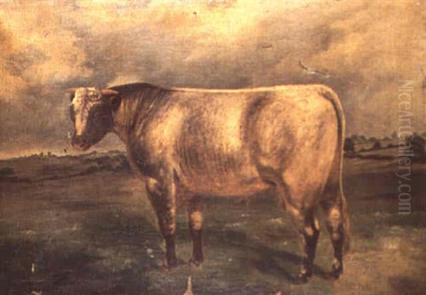 A Shorthorn Bull In A Landscape Oil Painting by William Henry Davis