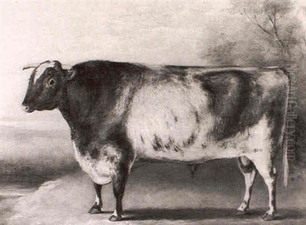 A Prize Shorthorn Bull - The Property Of W. Farr Esq. - In  A Landscape Oil Painting by William Henry Davis