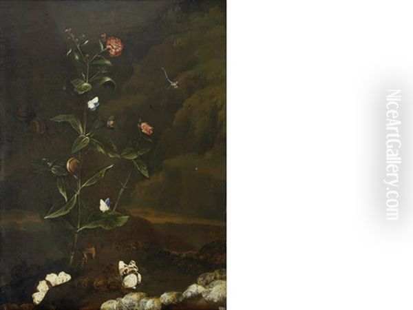 A Carnation, Banded Snails, A Damsel-fly, A Red Admiral And Various Other Butterflies In A Forest Oil Painting by Dirck de Bray