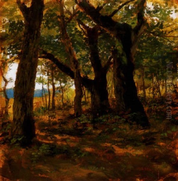 Napfenyes Liget (sunlit Grove) Oil Painting by Lajos Deak Ebner