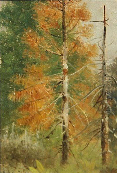 Mount Tallac; Dead Pine, Lake Tahoe; Chinatown, San Francisco Before The Fire Of 1906 (group Of 3) Oil Painting by Edwin Deakin